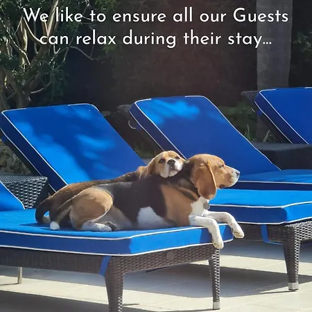 Alto Beyond ヴィラ