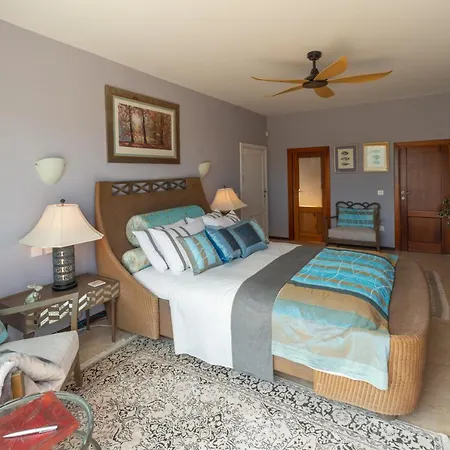 Alto Beyond Шаара